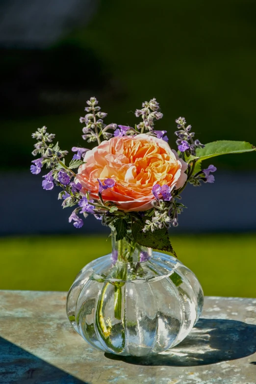 an arrangement of flowers sits in a vase