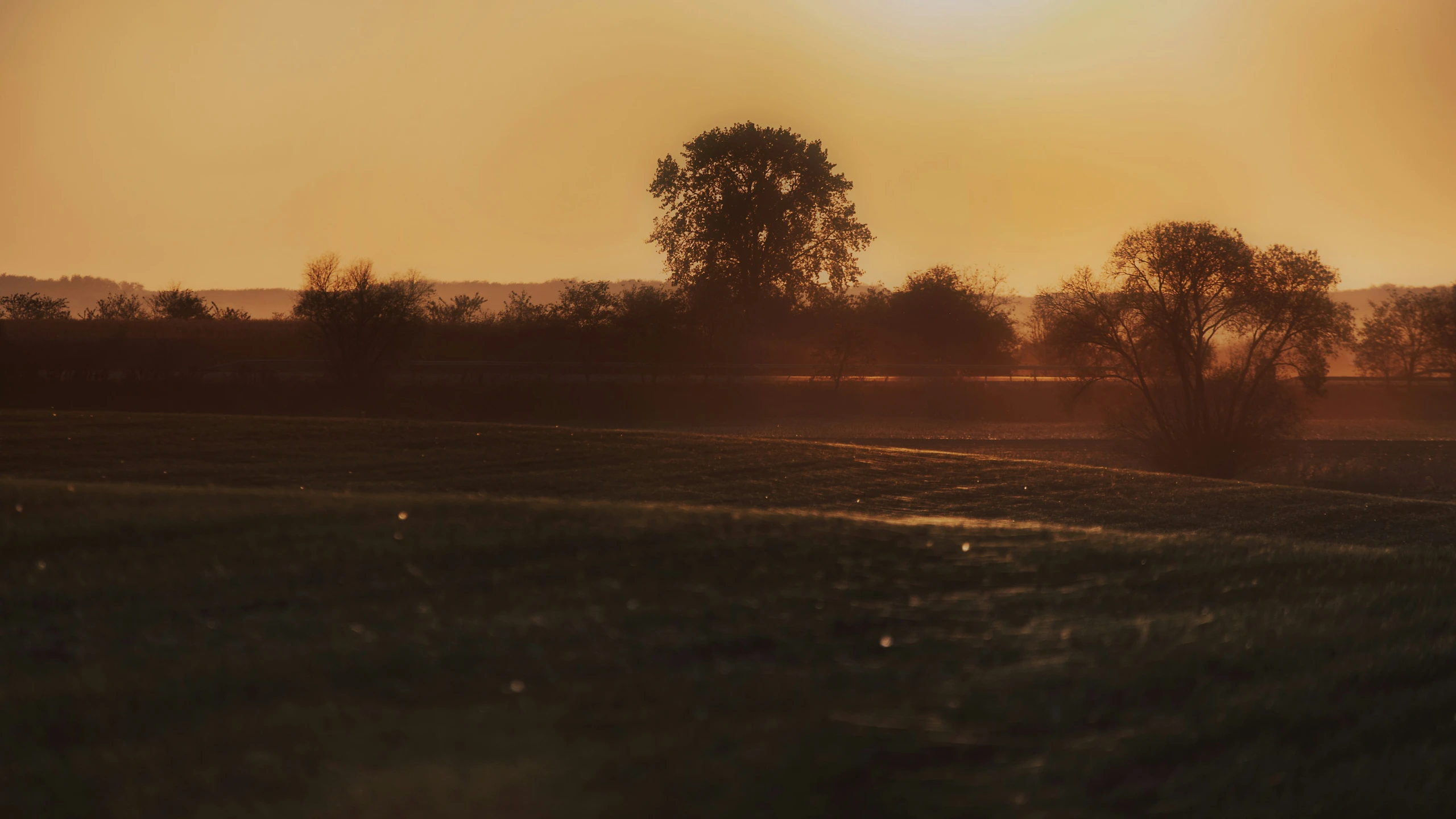 a very cloudy sunset with two horses grazing in the pasture