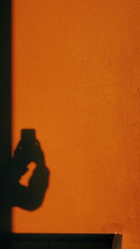 a shadow of a person holding a camera