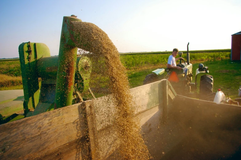 three people are working in a field with green crops