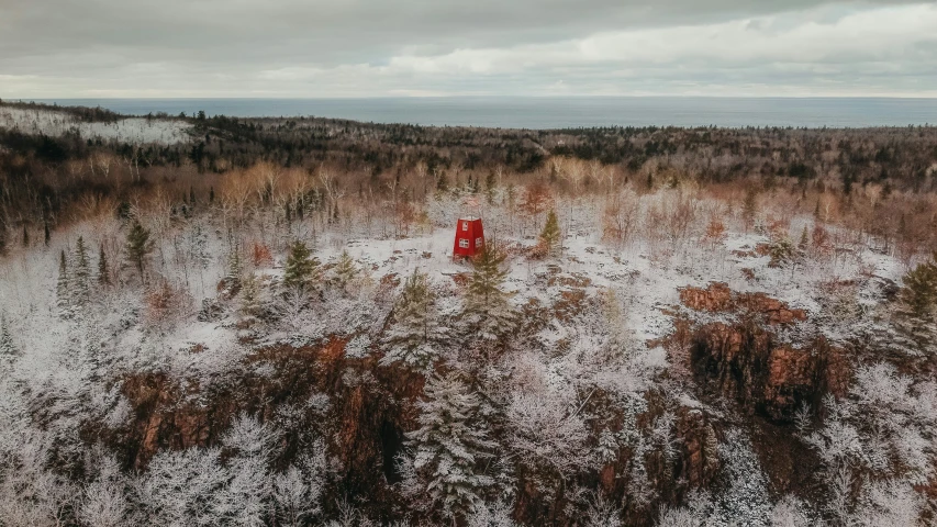 aerial view of trees and snow with the sky