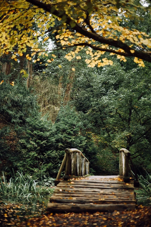 an old bridge surrounded by trees and bushes