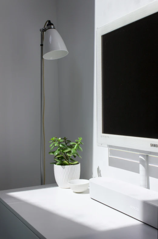 an empty room with a green plant next to a computer monitor