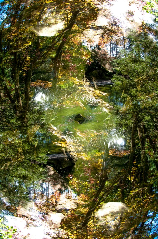 some water in the middle of a pond