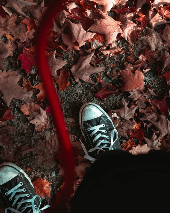 a person's shoes are pictured on the ground