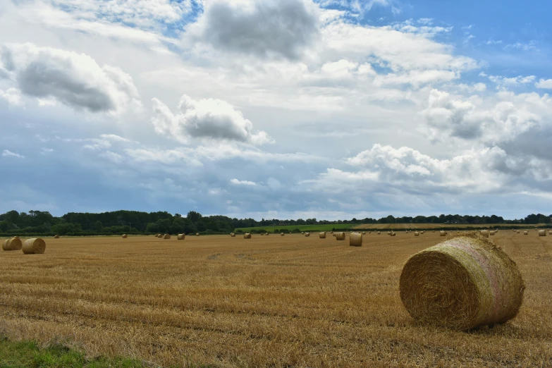 the hay bales are all bailed up on the farm field