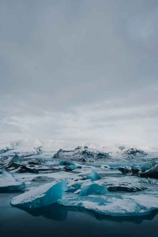 ice floets floating in a river on top of snow covered mountains