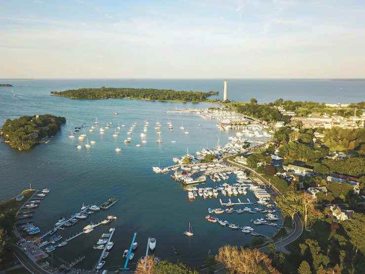 a harbor filled with lots of boats and surrounded by trees