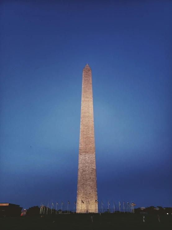 a tall monument on a field with trees in the background