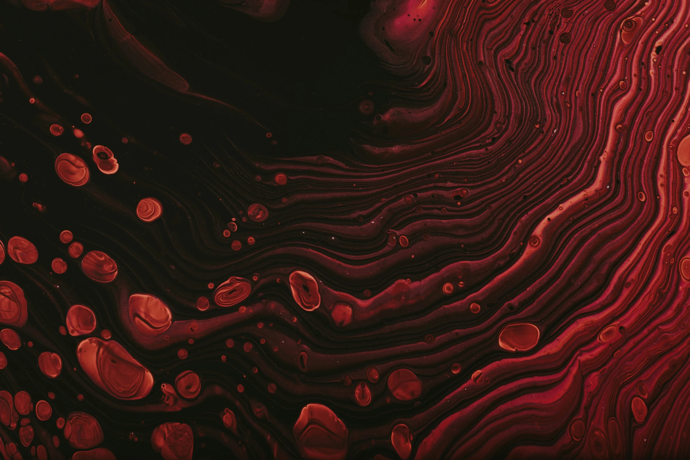 red and black swirls with bubbles in them