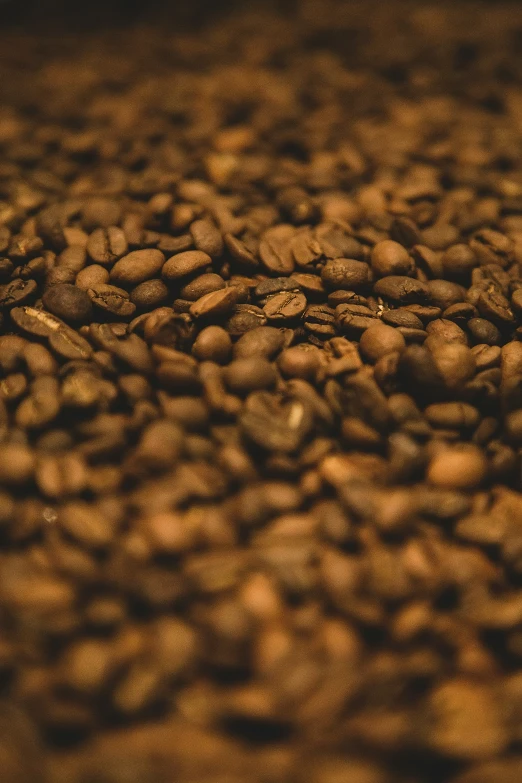 dark and dirty coffee beans are seen in this image
