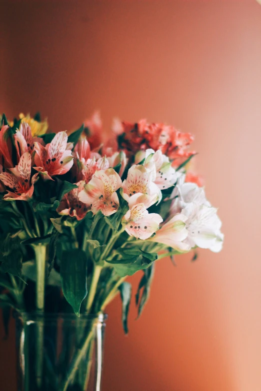 pink and white flowers are in a glass vase