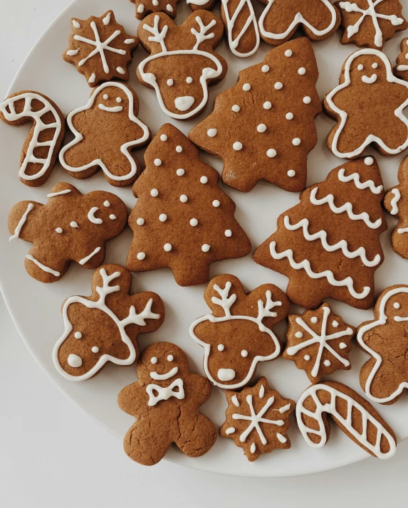 many different cookies are on a white plate