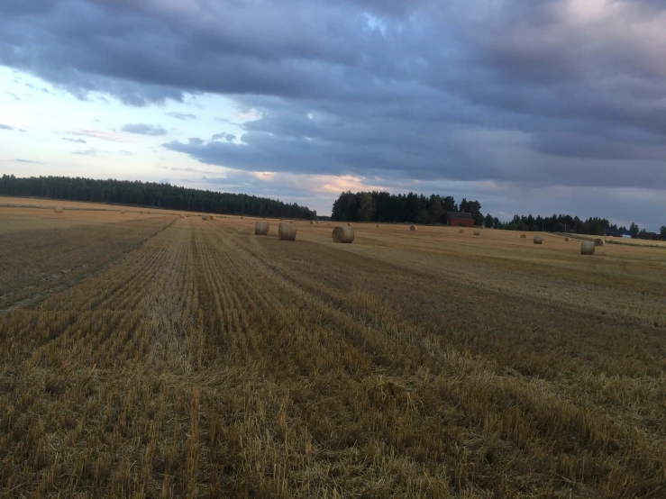 a couple of hay bales on a field of grass