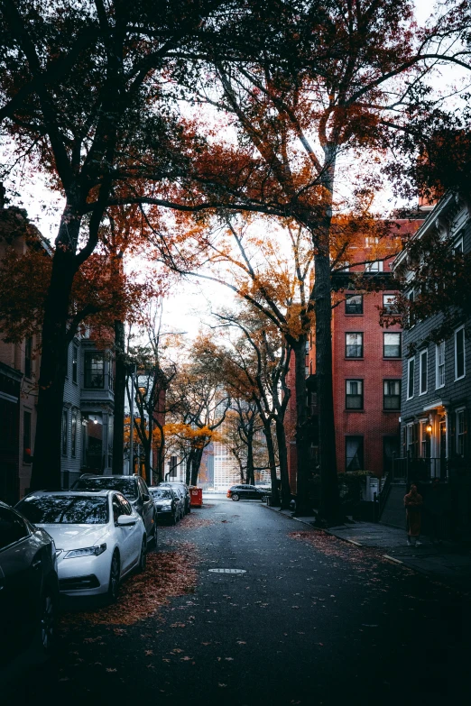 a street with many cars parked on the side of it