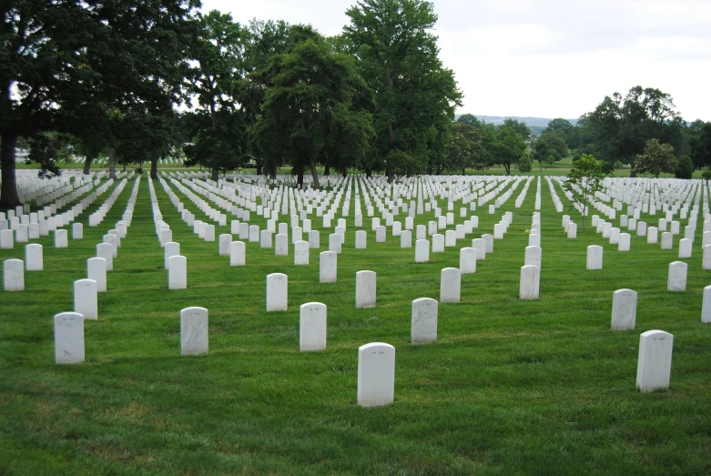 several rows of white headstones in an open field