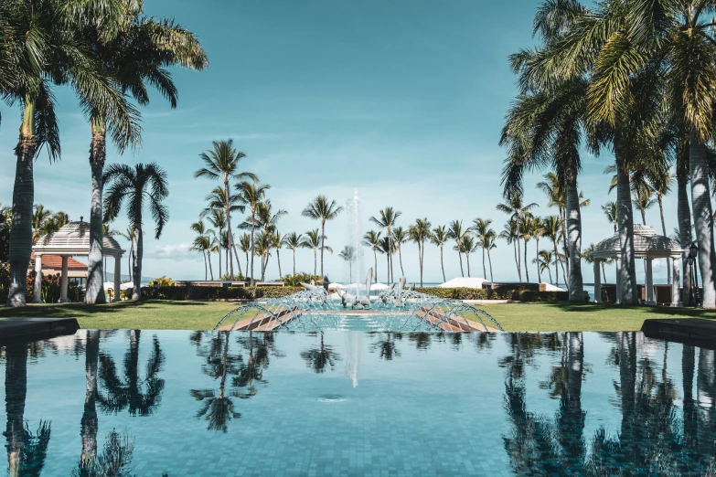 a large pool next to palm trees and the ocean