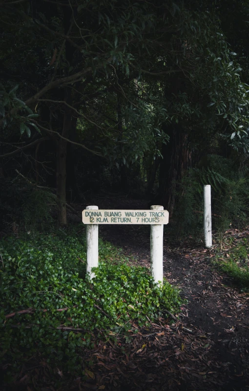 a park bench is next to some bushes