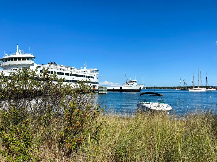 many boats are on the water near a large cruise ship