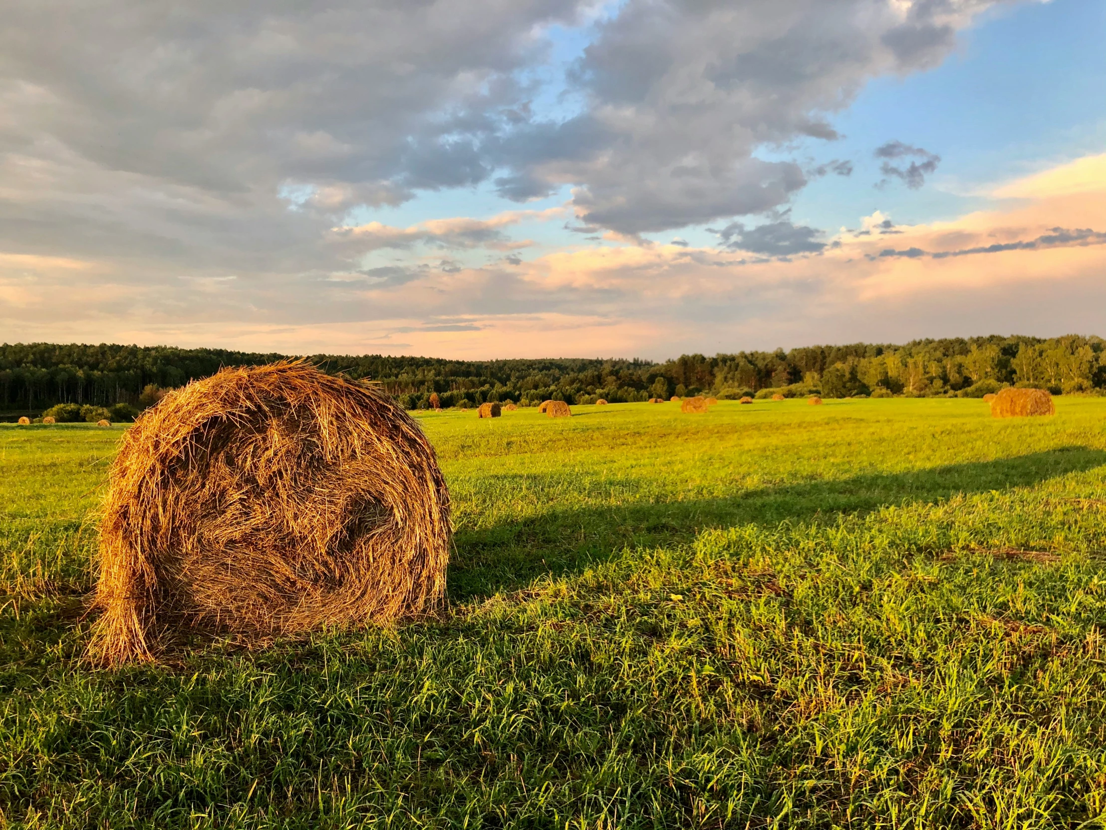 a hay bail on the field after harvest