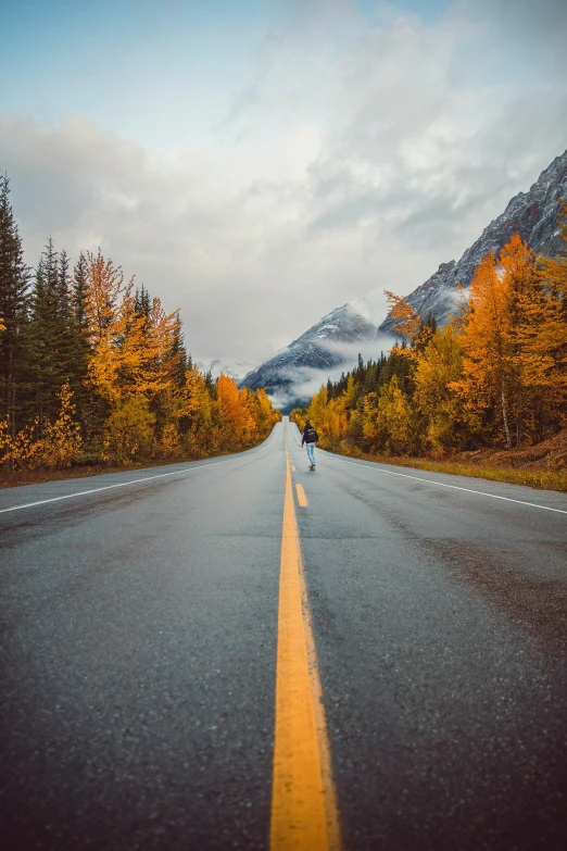 a single person walking on a road surrounded by colorful trees