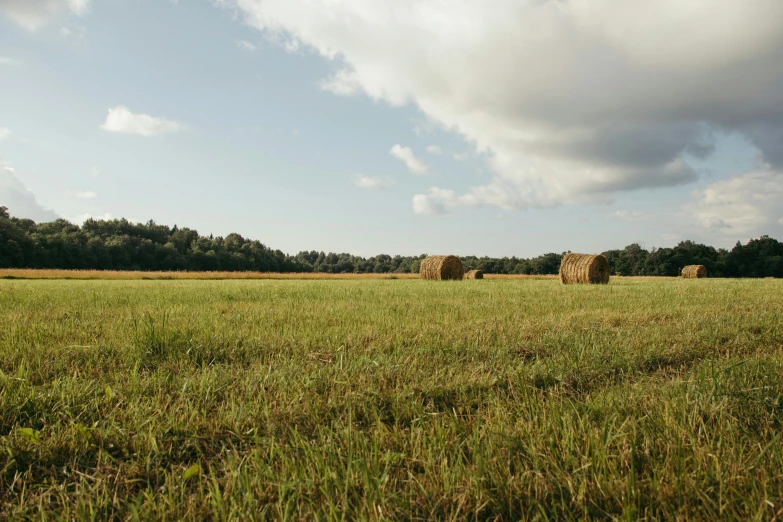 a field with some stacks of hay in it