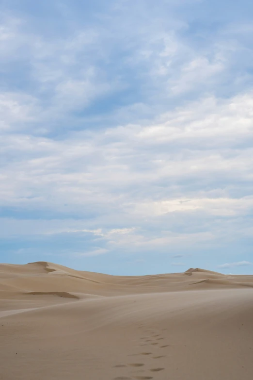 the tracks of a hiker hiking across a sand dune