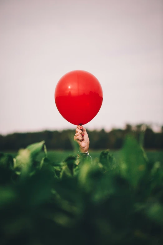 a hand holding a red ballon in front of a field