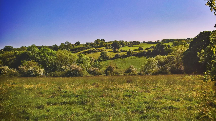 a green grass field sitting below a blue sky