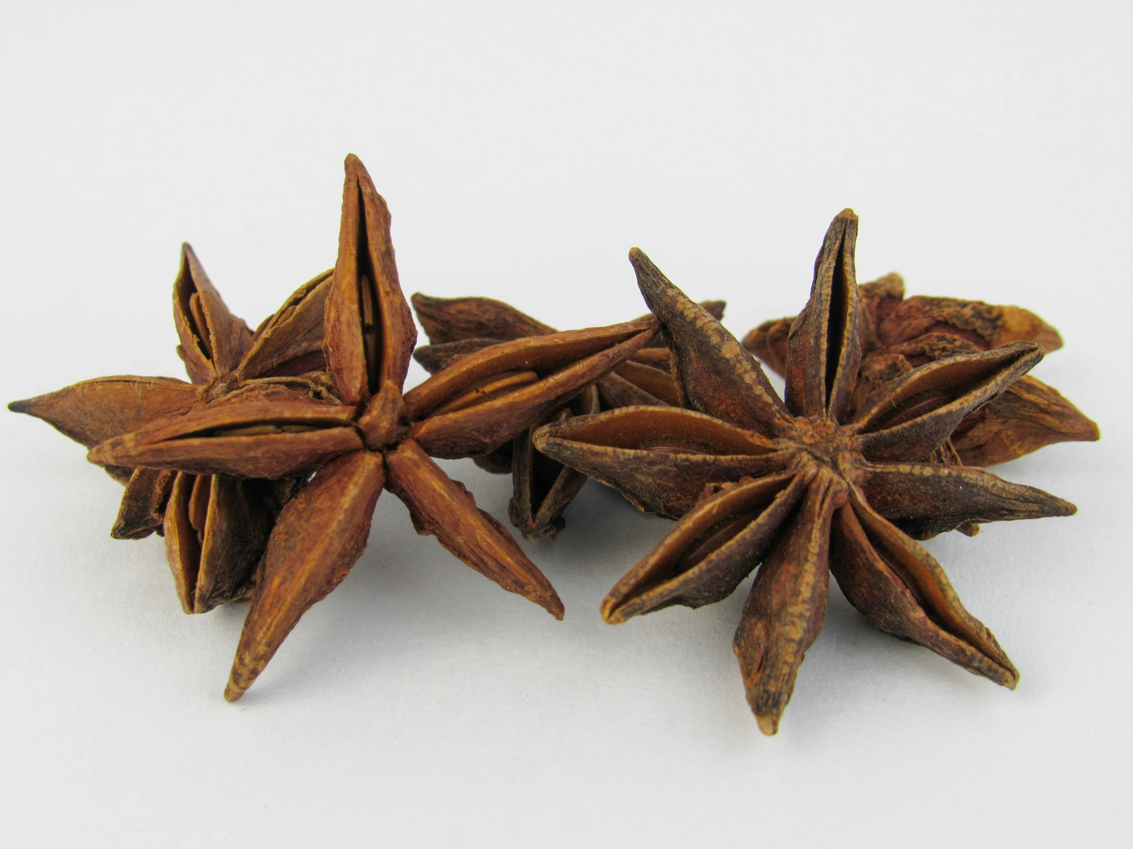 three star anise on a white background