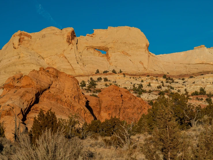 the mountains are rocky and there is trees