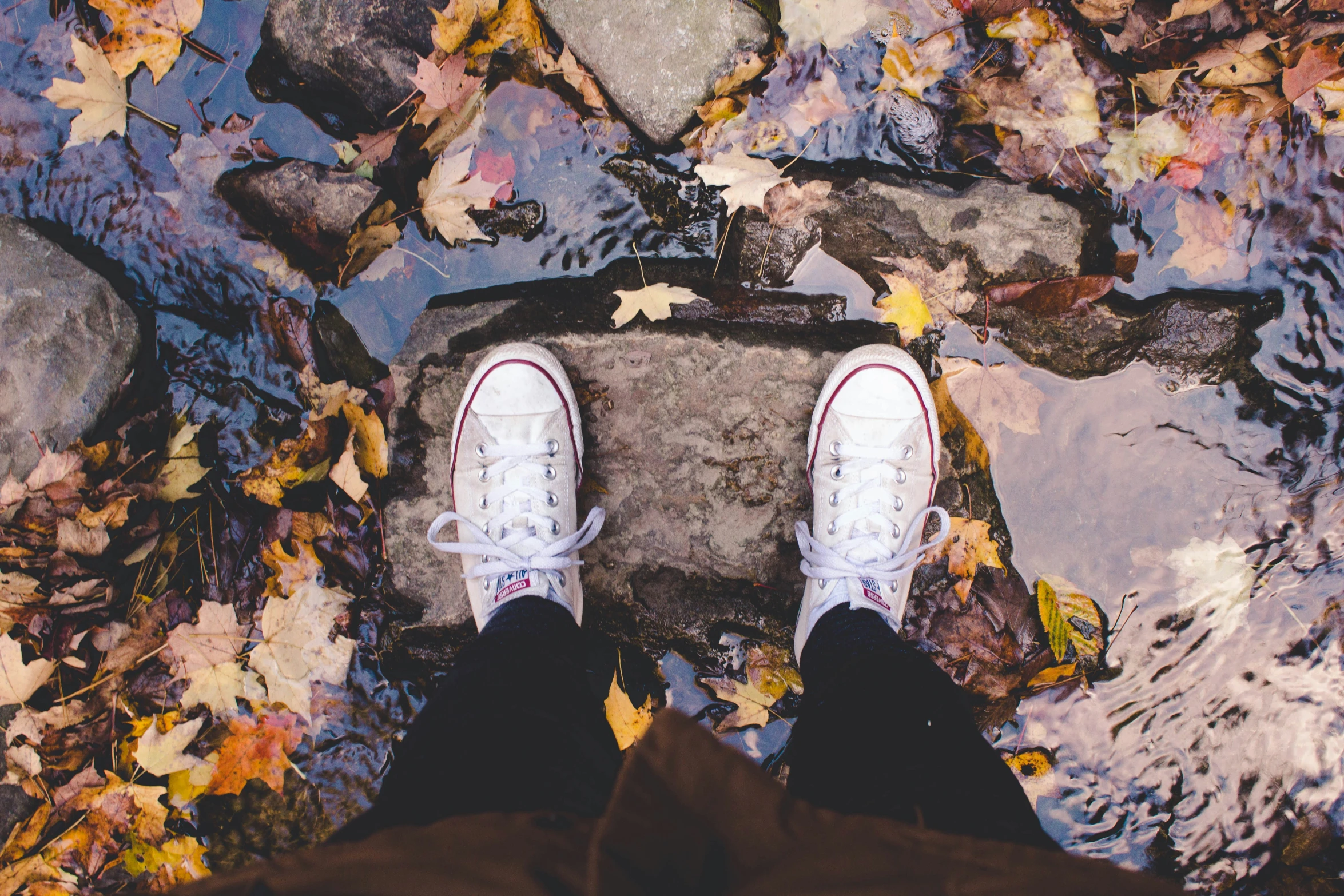 a person in white sneakers looking down at leaves on the ground