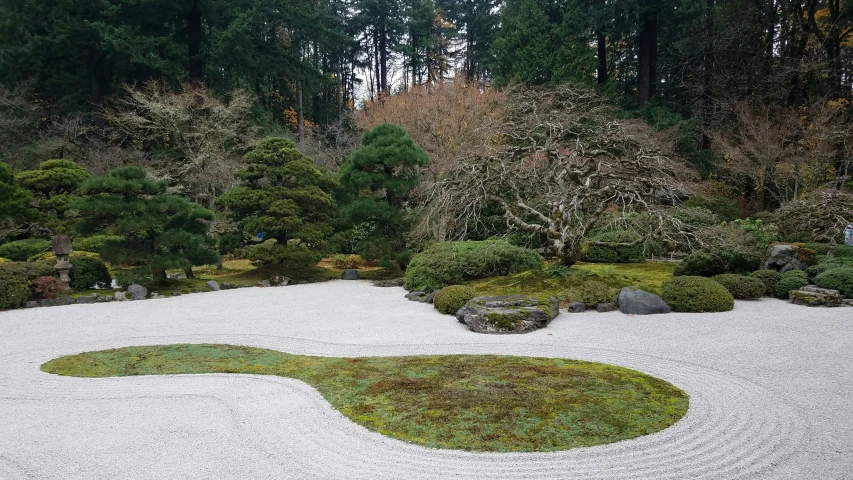 the plants and rocks in this japanese garden are green