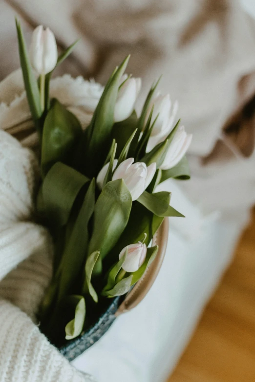 white flowers sitting in the middle of a bed