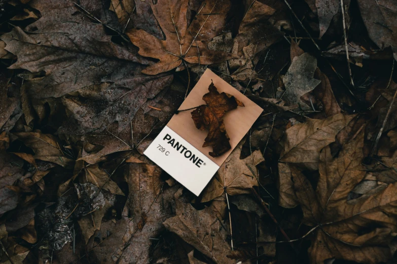 an old phone laying in the middle of leaves