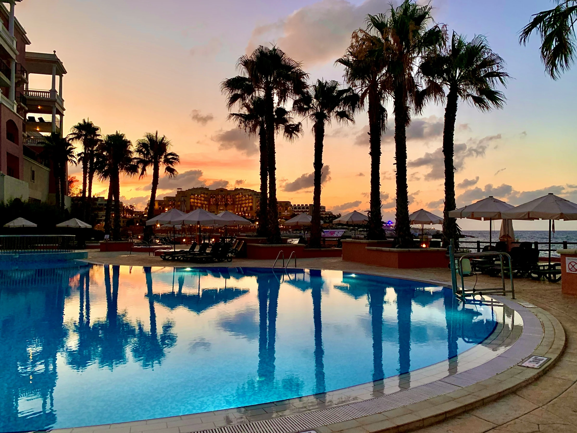 a large swimming pool sitting under palm trees