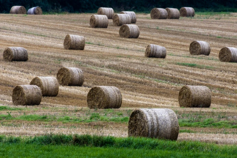 a field filled with many hay bales