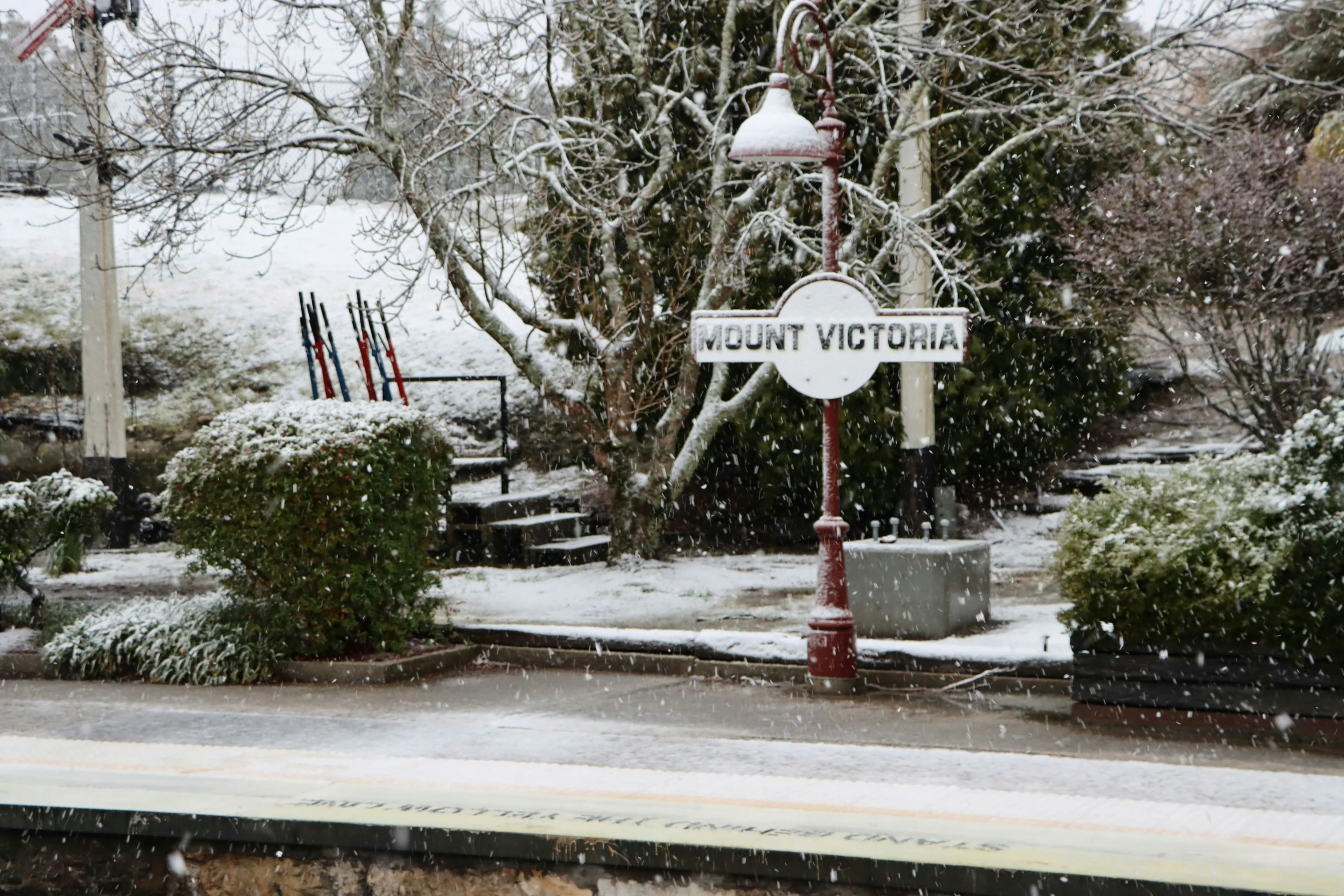 a snow - covered street sign at a park in a snowy day