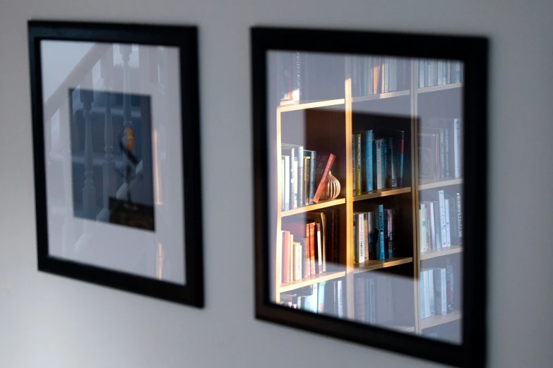 two framed bookshelves are reflected on the wall