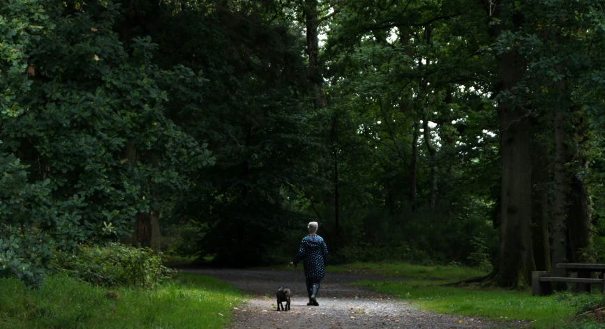 a person walking along a pathway with a dog