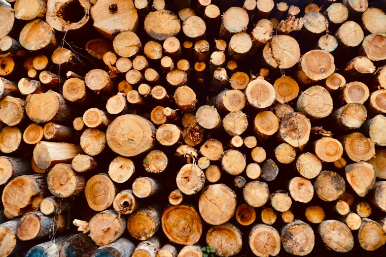 a pile of wood logs sitting next to each other