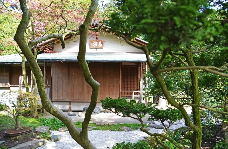 a house sits in the middle of a lot of trees