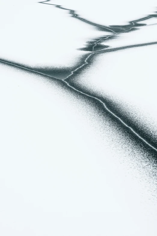 snow covered ground with a long track that stretches into the distance