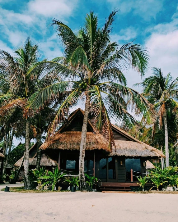 the beach front view of a tropical resort