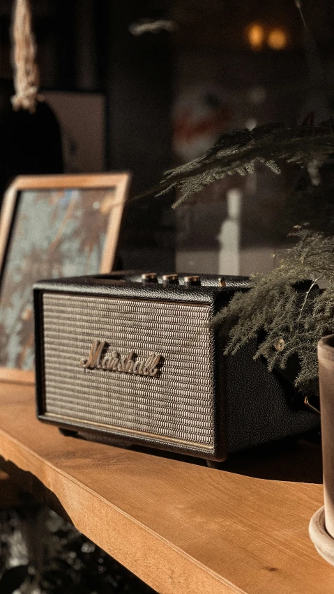 a plant is placed on a shelf near a speaker