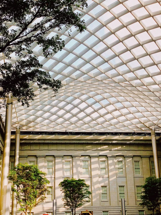 an indoor space with multiple trees inside