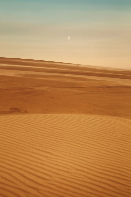 a barren desert landscape with a single lone tree in the middle