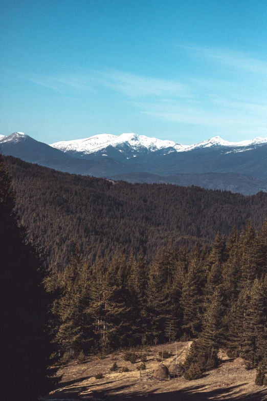 a mountain view with a bunch of trees in the foreground and mountains behind