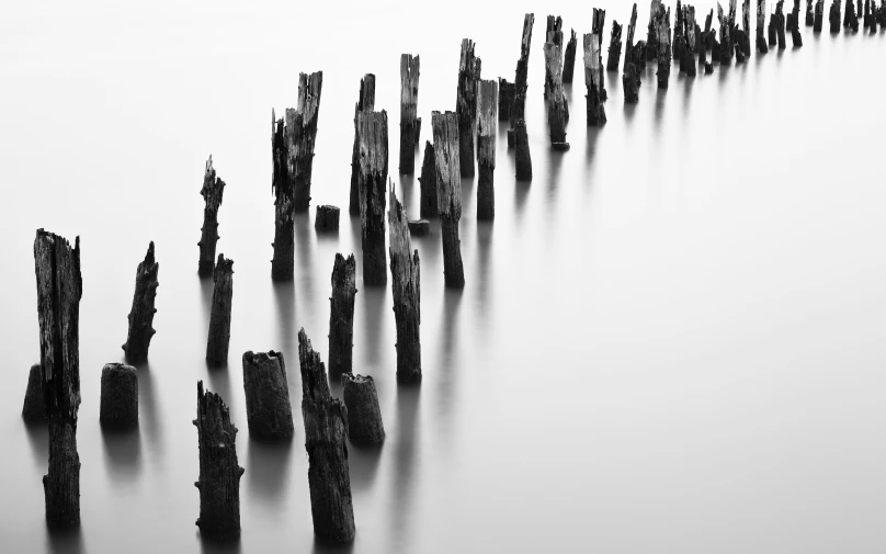 an old structure of wooden poles sticking out from the water