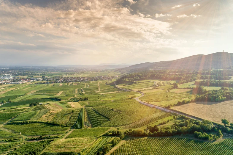 a view from above of grassy land and mountains